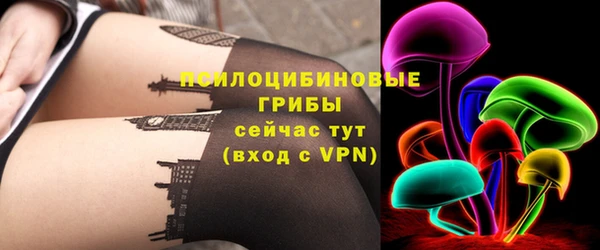 герыч Россошь