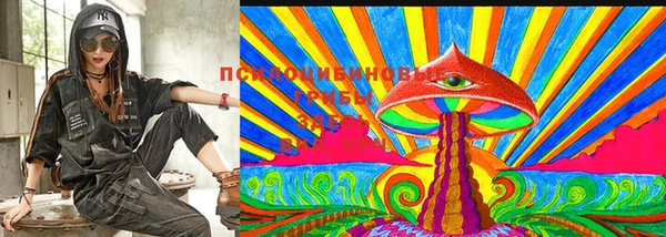 дживик Аркадак