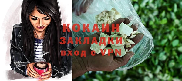 дживик Аркадак