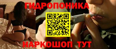 ECSTASY Шебекино