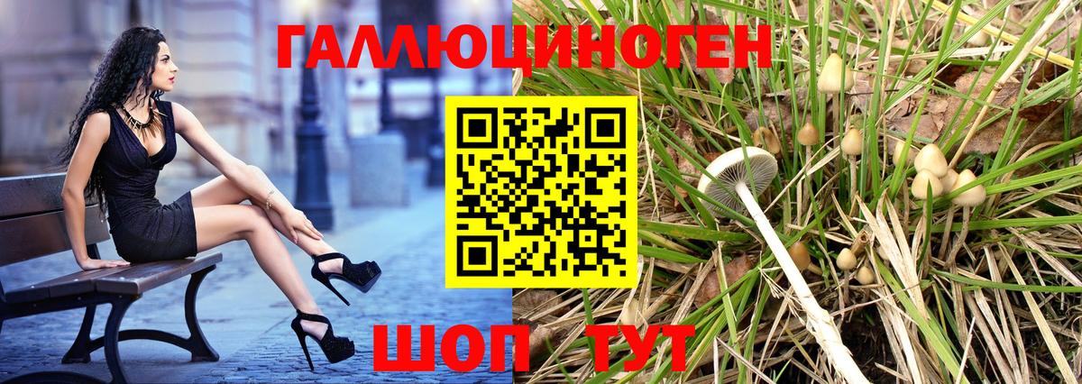 Псилоцибиновые грибы GOLDEN TEACHER Радужный