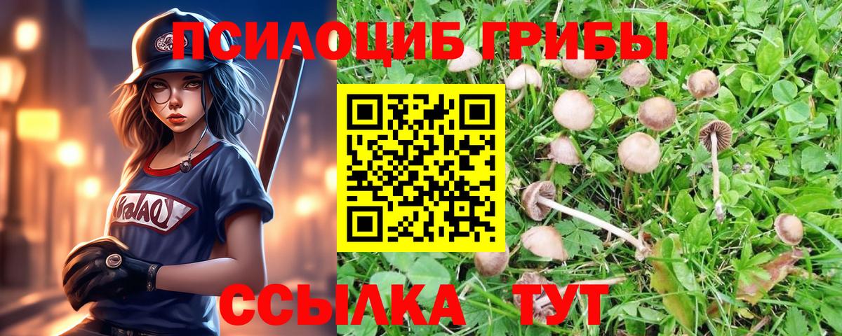 Галлюциногенные грибы ЛСД  Вход с VPN  Радужный 